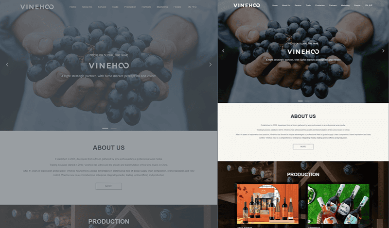 食品行业外贸独立站